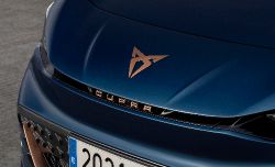 Cupra Born - logo cupra