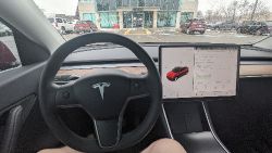 Tesla Model Y - photogallery image
