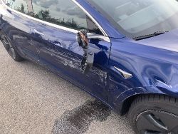 Tesla Model 3 - photogallery image