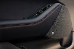 Ford Mustang Mach-E - interior door