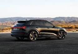 Audi Q8 e-tron - SQ8 side