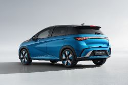 BYD Dolphin - Bild 2 aus der Fotogalerie