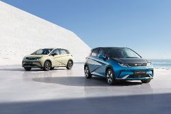BYD Dolphin - Bild 6 aus der Fotogalerie
