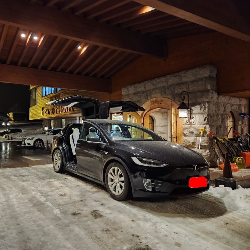 Tesla Model X P100D 2017 - Titelbild